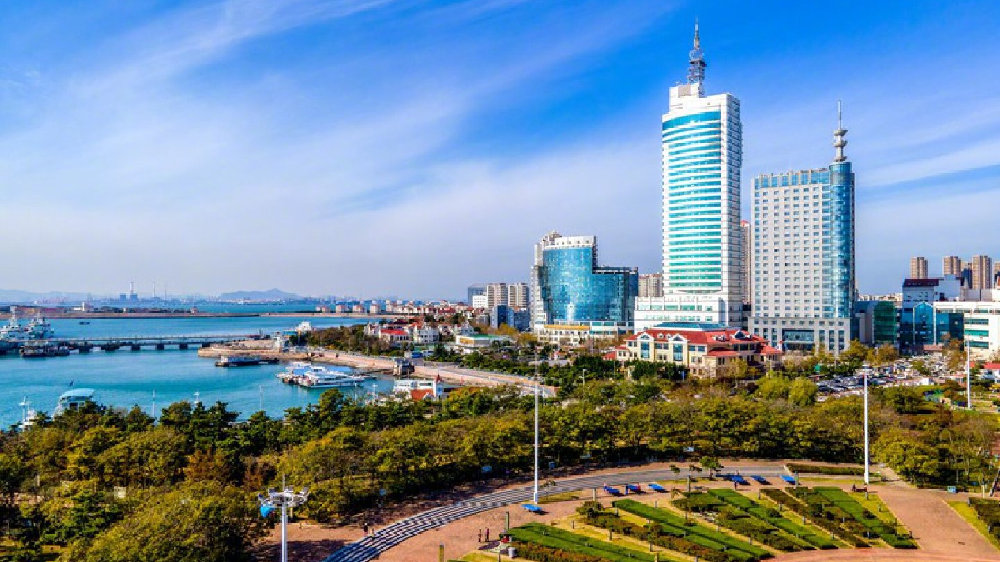 山东技能学习指南，从入门到进阶的任务与步骤解析